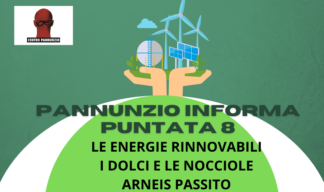 Pannunzio Informa 8